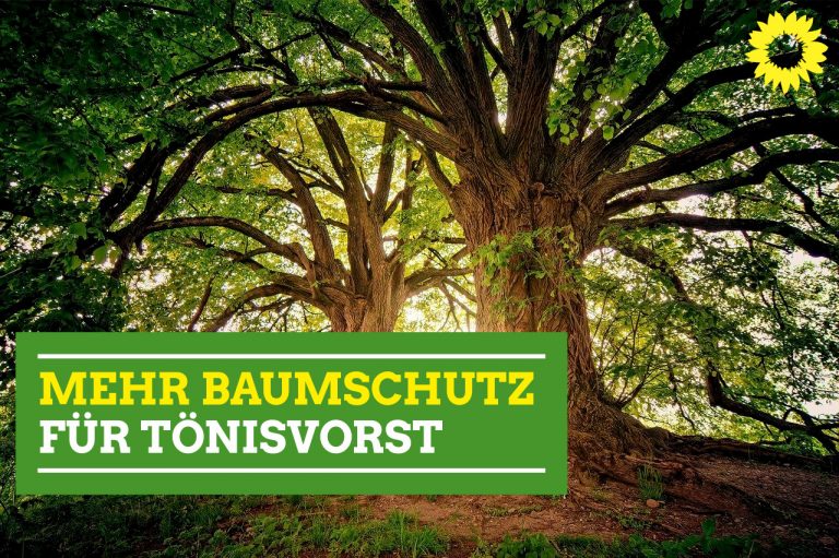 Mehr Baumschutz für Tönisvorst